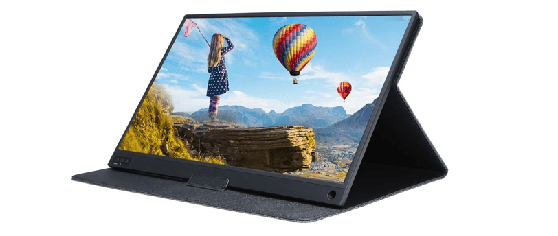 a 15.6" portable monitor