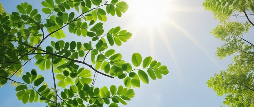 a close up of a plant