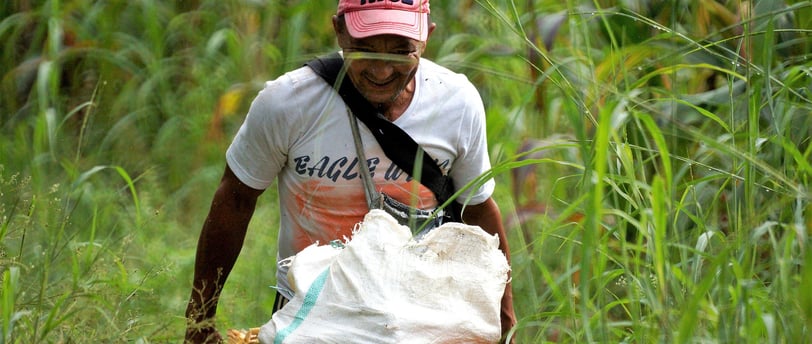 aposentadoria rural aas advocacia aas aposentadorias adriana
