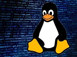 a penguin penguin penguin penguin penguin penguin penguin penguin penguin penguin penguin penguin penguin penguin penguin