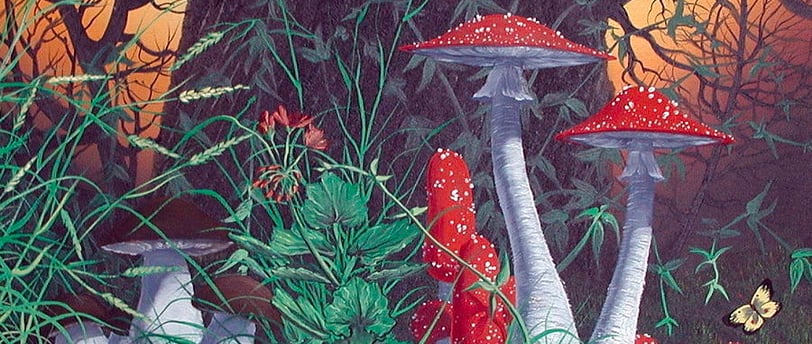 a painting of mushrooms and mushrooms in a forest