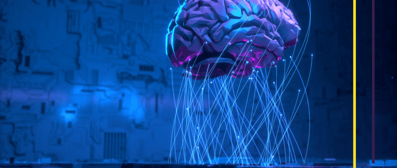 a brain scans a brain scans a brain scan