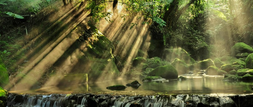 a waterfall in the middle of a forest