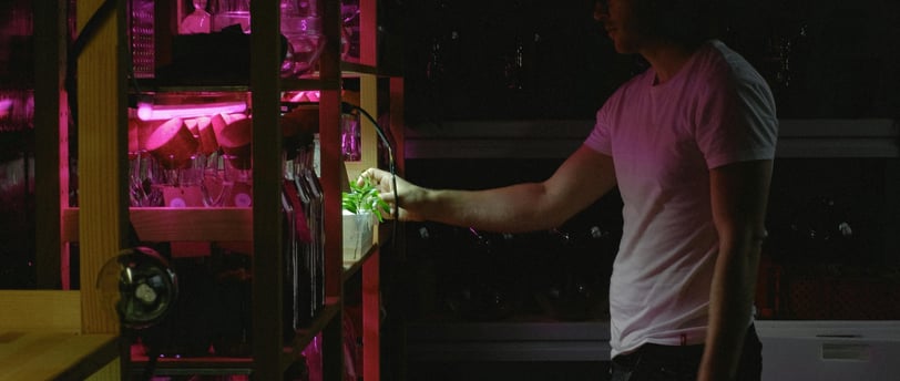 a man in a pink shirt is holding a green plant