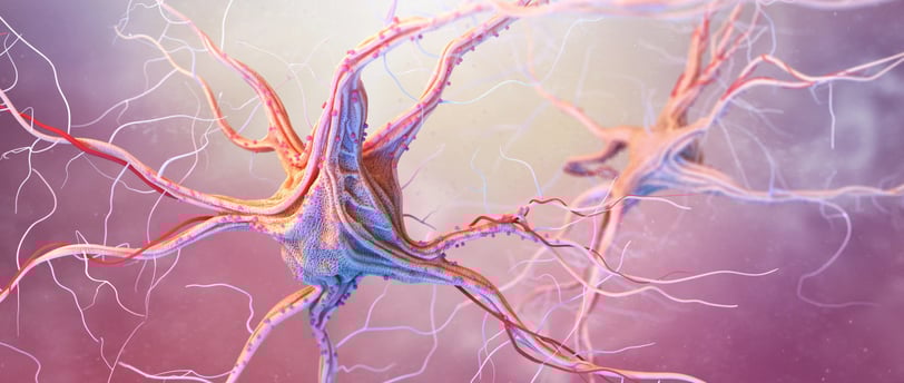 neuromarketing blog image