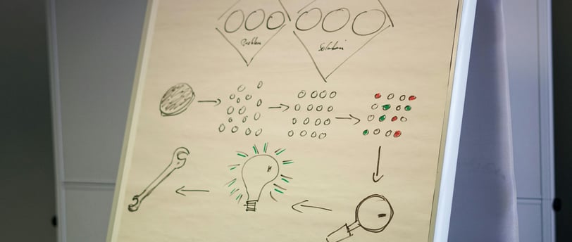PSE-Organisation future