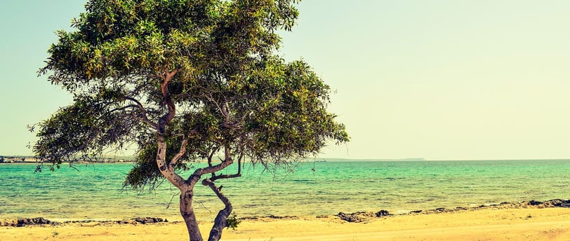 Lead Generation in Cyprus