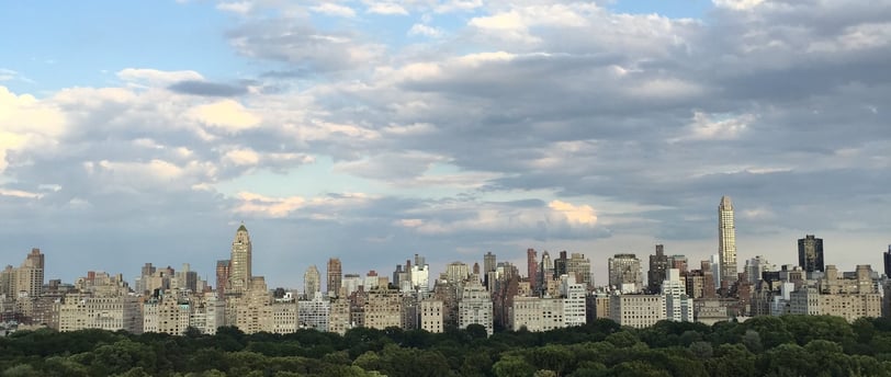 A view of Central Park and the NYC skyline