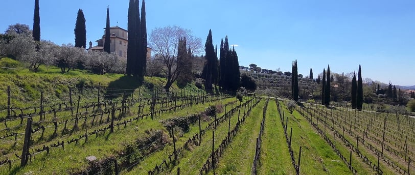 Villa la Ripa winery tuscany Italy