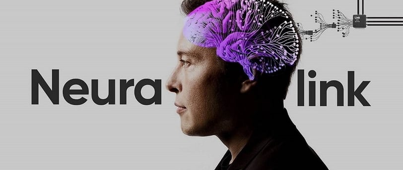 neuralink elon musk bci