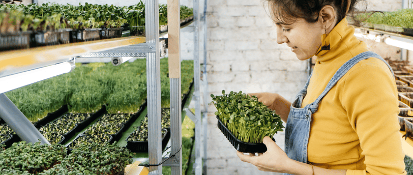 a woman in overalls  holding a tray of microgreens