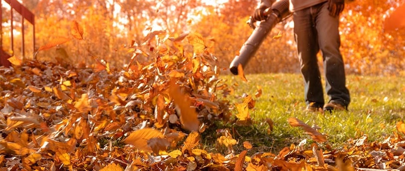 a man is using a leaf blower to clean the leaves