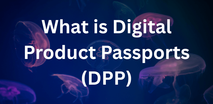 What is Digital Product Passports (DPP)