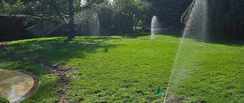 a sprinkle sprinkles in the grass