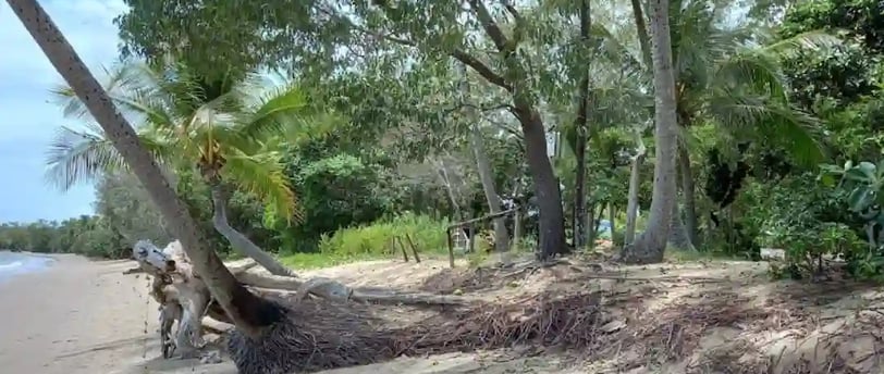 Beauty in Cairns