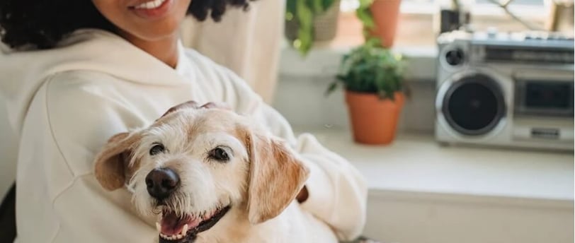 happy pet hug by a women
