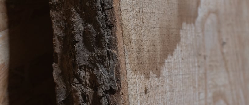 Planche en bois massif avec une texture naturelle et des veines apparentes, illustrant la robustesse et l'élégance du matéria