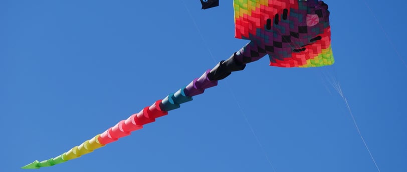 reforma ley concursal