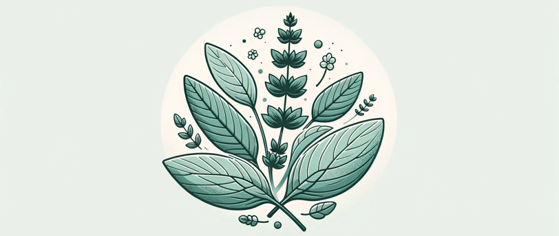 a plant with leaves and flowers on a white background