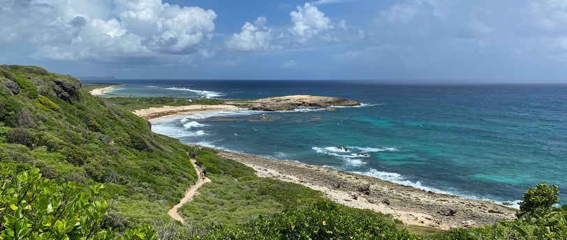 Vue aérienne de la Pointe des Châteaux et de la plage des Salines en Guadeloupe, symbole de préservation et durabilité.