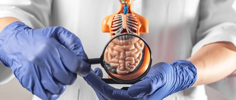 Olhando de perto a saude intestinal