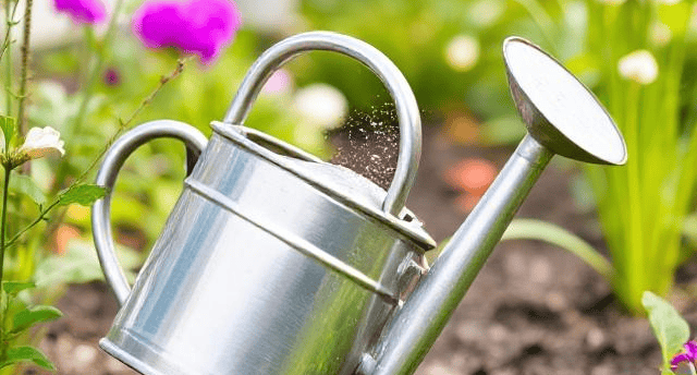 outdoor watering can