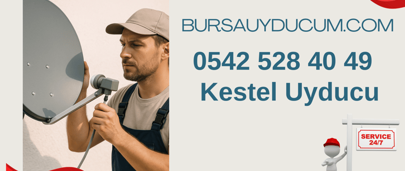 kestel uyducu