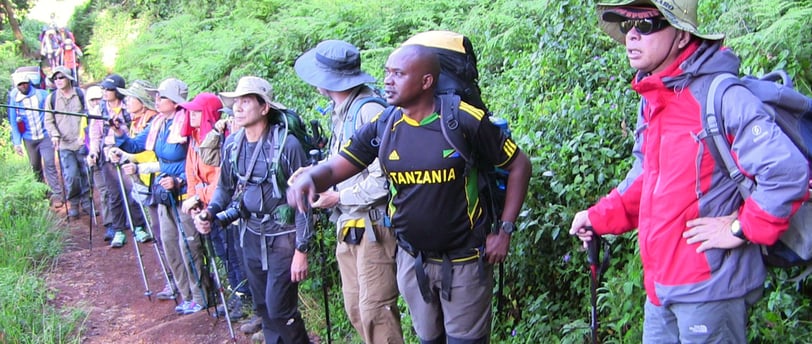 trekkers on mount Kilimanjaro