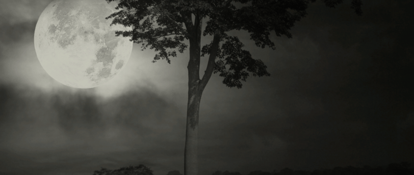 black and white digital art of an iroko tree with a full moon in the background