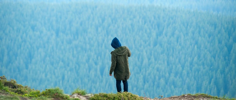 a person standing on a hill with a blue sky and trees in the background