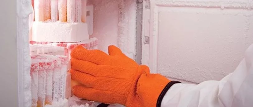 -80 freezer repair, -80 freezer repairs in South Africa