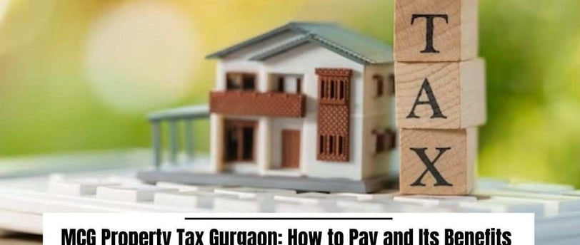 MCG Property Tax