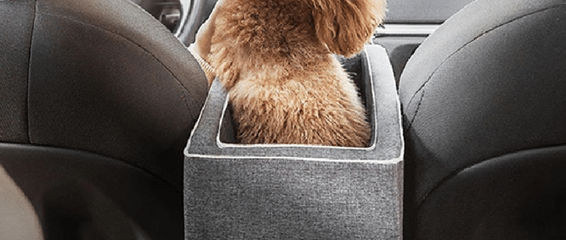 Dog car seat: a guide to selecting the perfect dog car seat for your loved dog or puppy. 