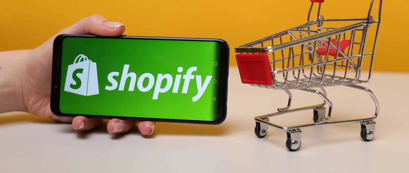 a person holding a phone with a shopping carton