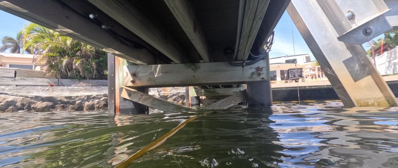 seawall Inspection