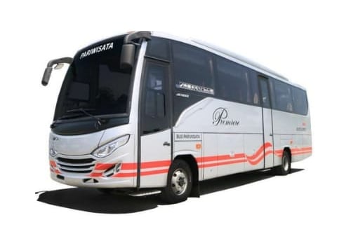 Bus Medium