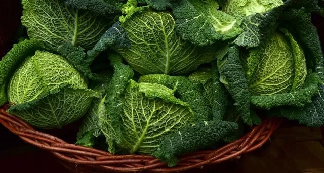 verduras ricas en magnesio