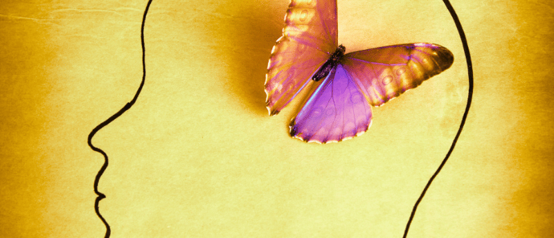 outline of profile, with a purple and yellow butterly where brain goes signifying mindfulness