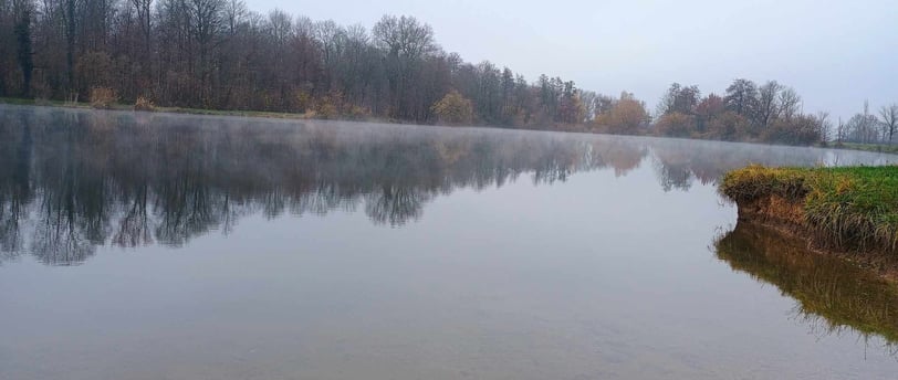 Cold water therapy in a lake in Germany for ice bath benefits and cold exposure health.