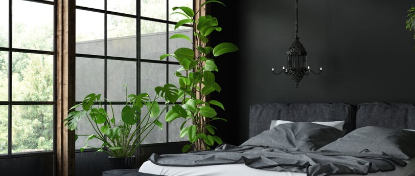 color drenching the bold paint trend