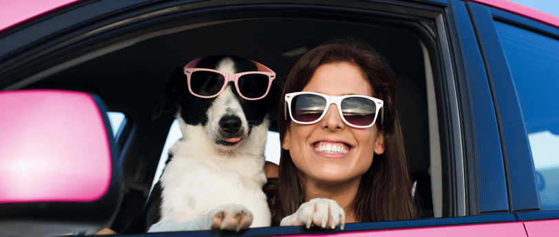 dog on woman going on a road trip