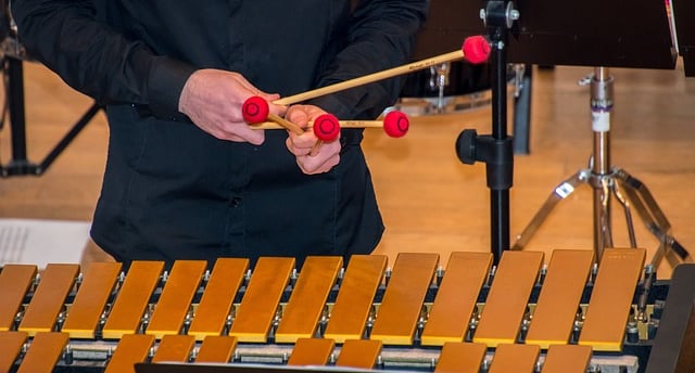 concierto de música con marimba