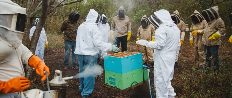 Imkerwerkzeuge: Unverzichtbare Helfer für sicheres Arbeiten am Bienenstock
