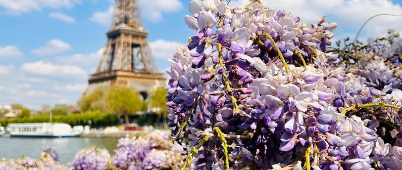 floraison printemps paris tour eiffel