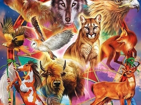 animais de poder