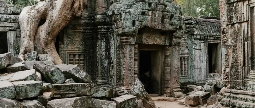 Ta Prohm Angkor, featured on MyTripJunction.com travel blog.