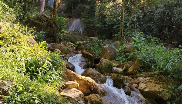 a waterfall in the middle of a forest