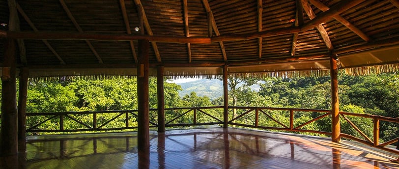yogashala overlooking jungle