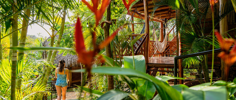 walking to the wooden bungalow through the tropical garden of Eden 