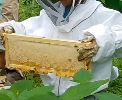tending the hives